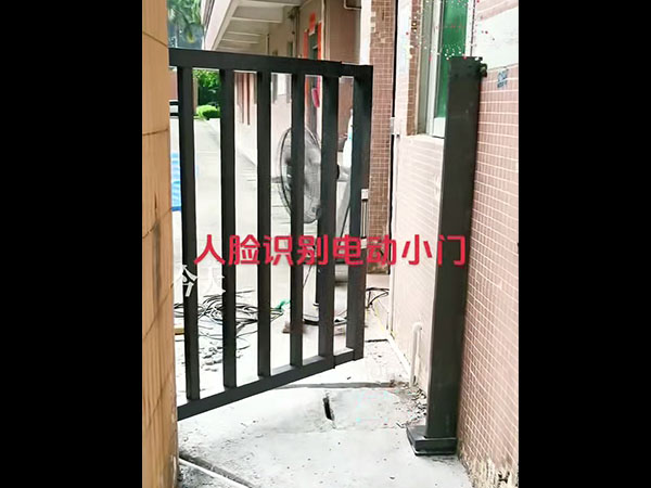 人脸识别电动小门