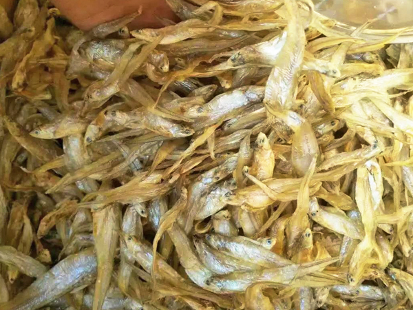 食堂农产品配送