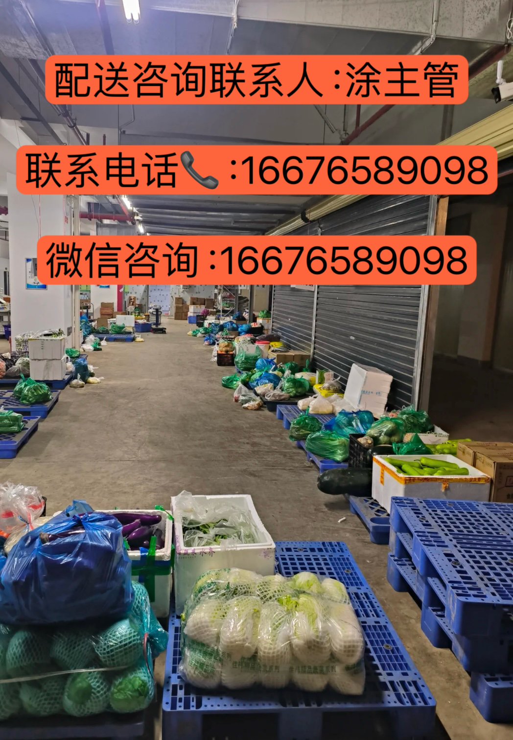 学校农产品配送