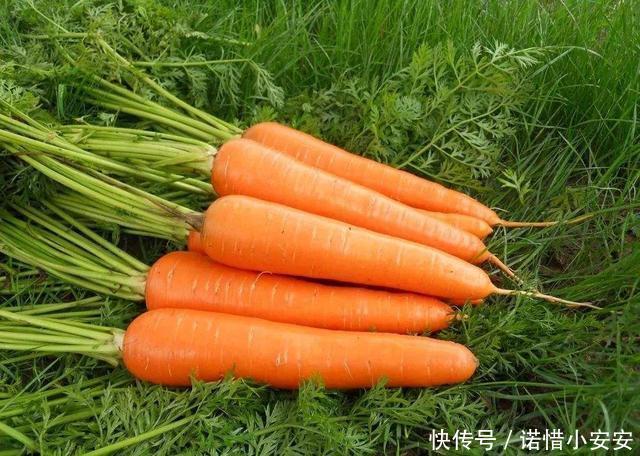 https://p0.ssl.qhimgs4.com/t017d4fc2846b46eefe.jpg
