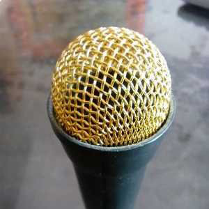 金色麦克风网罩