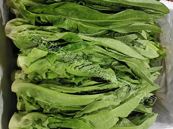 麦菜