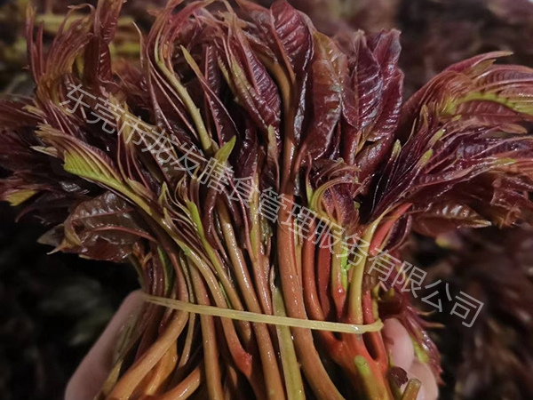 香椿芽