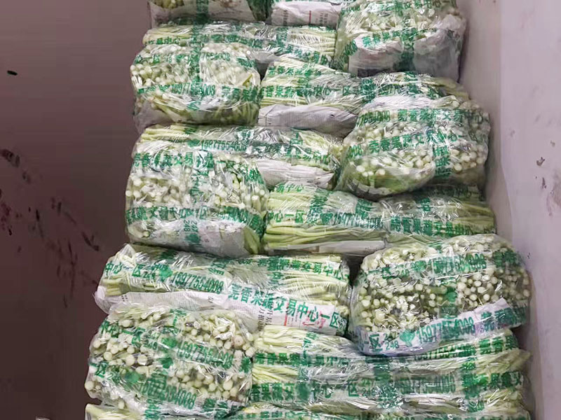 菜心