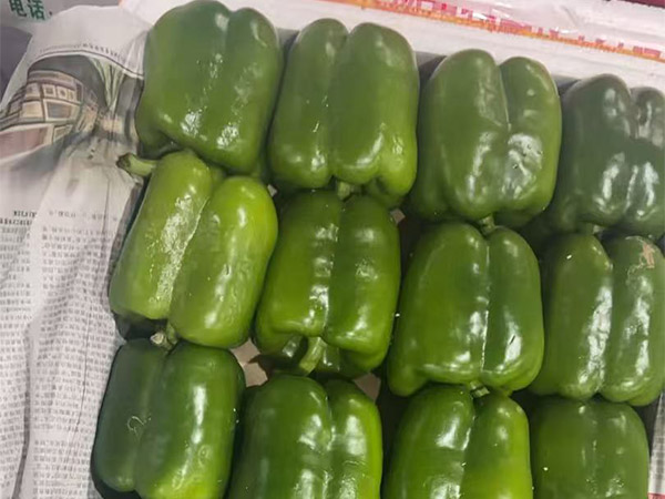 圆青椒