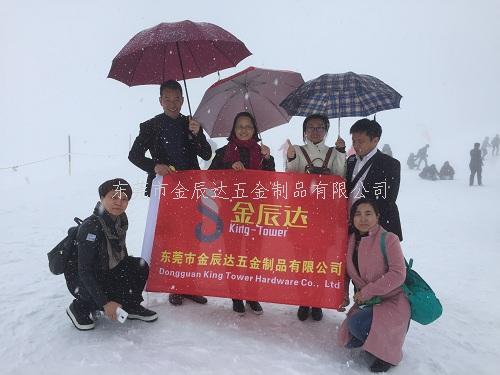 热烈恭贺金辰达精英销售团队成功登顶阿尔卑斯山顶
