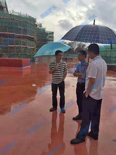 屋面防水及裂缝补漏工程
