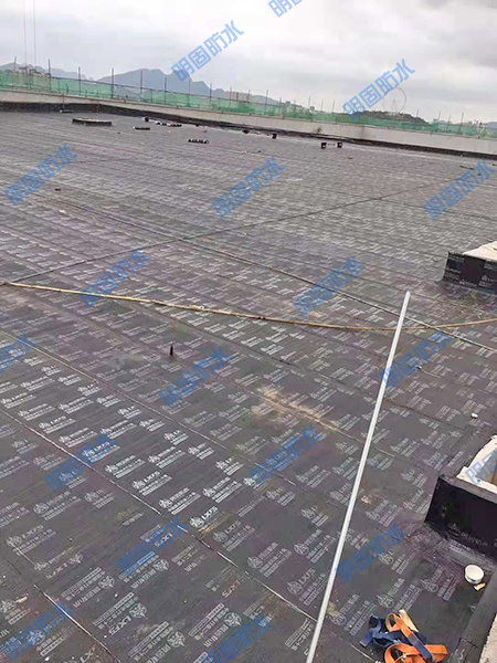 屋面防水及裂缝补漏工程