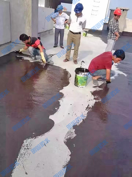 屋面防水及裂缝补漏施工工程