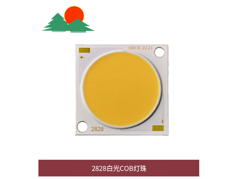 2828白光COB灯珠