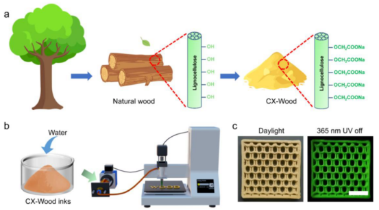 东北林业大学团队《Nature Communications》：3D 打印磷光木质材料取得突破性进展