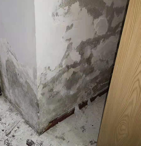 防水补漏小编告诉你墙体发霉原因