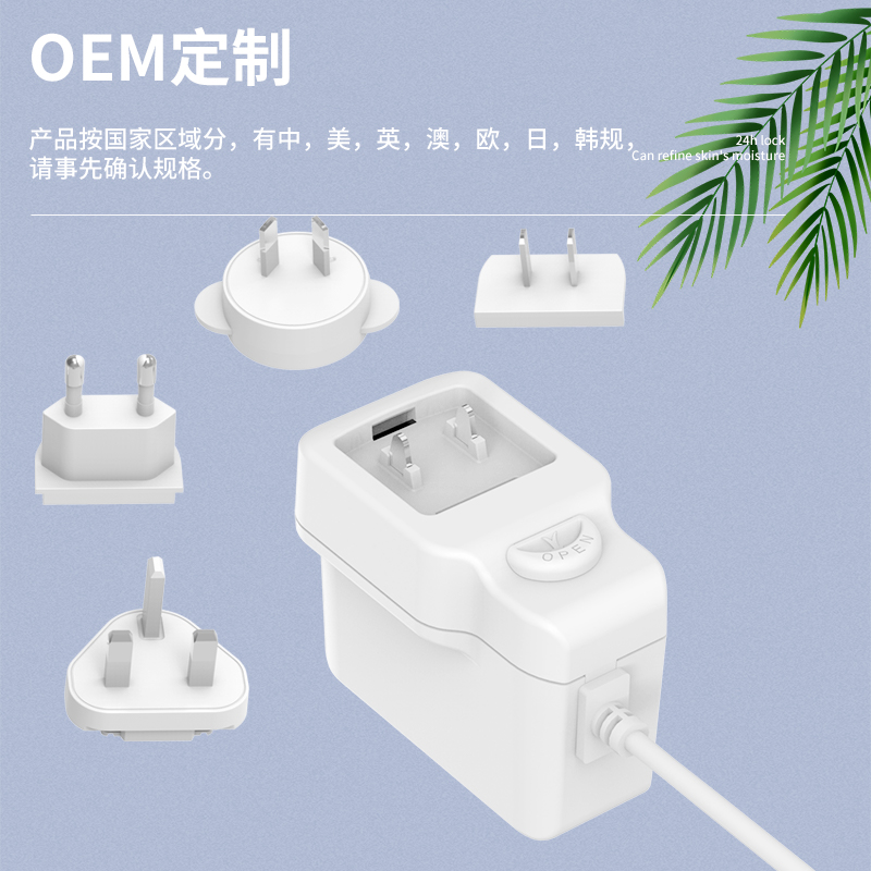 ​转换脚电源适配器定制方案：B端个性化量产适配指南