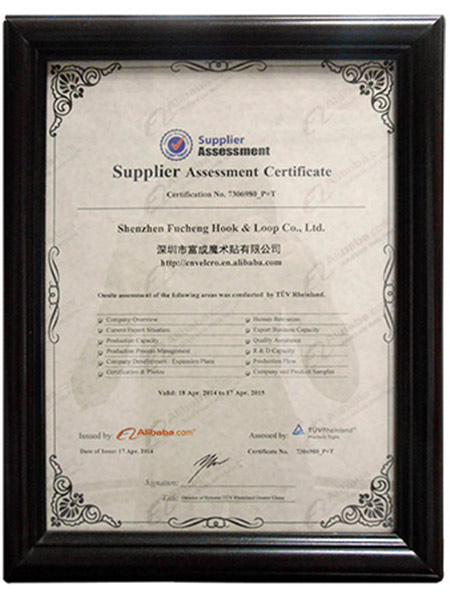 Supplier Assessment (2)