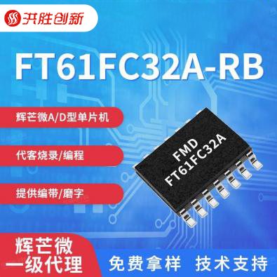 FT61FC32A-RB