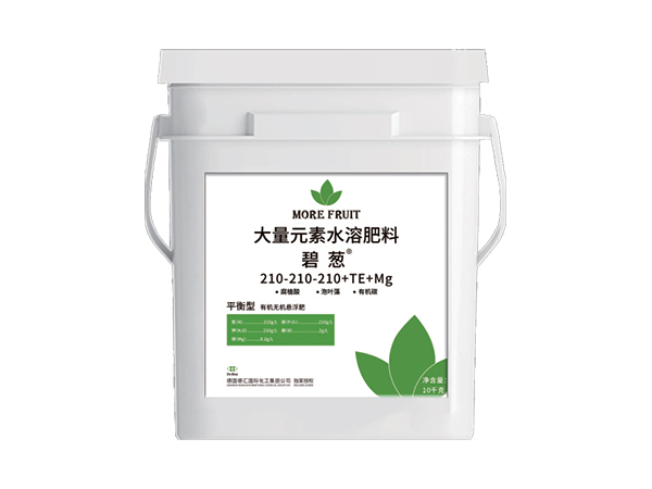 碧葱·平衡型