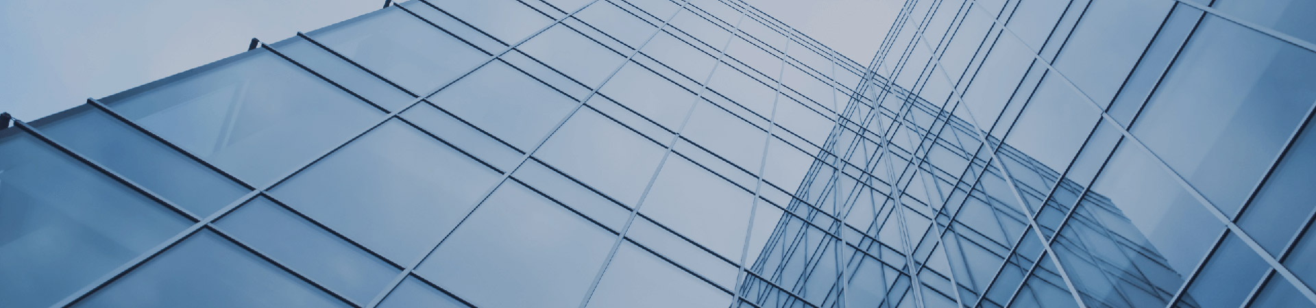 profile_visual