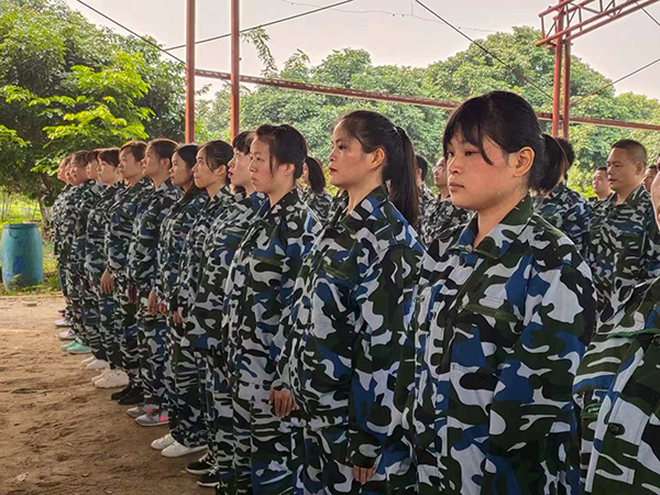 公司活动