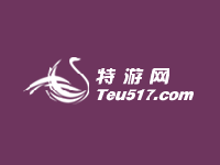 深圳市特游网文化技术有限公司
