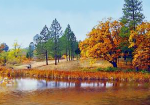循环水运行过程中产生的问题