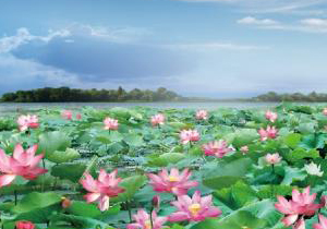 总氮、氨氮“亲戚”关系