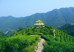 氨氮不达标的理由是什么呢