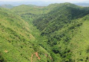 水质重金属的测定方法水质重金属的测定方法