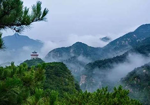 COD检测仪符合国际通用规范