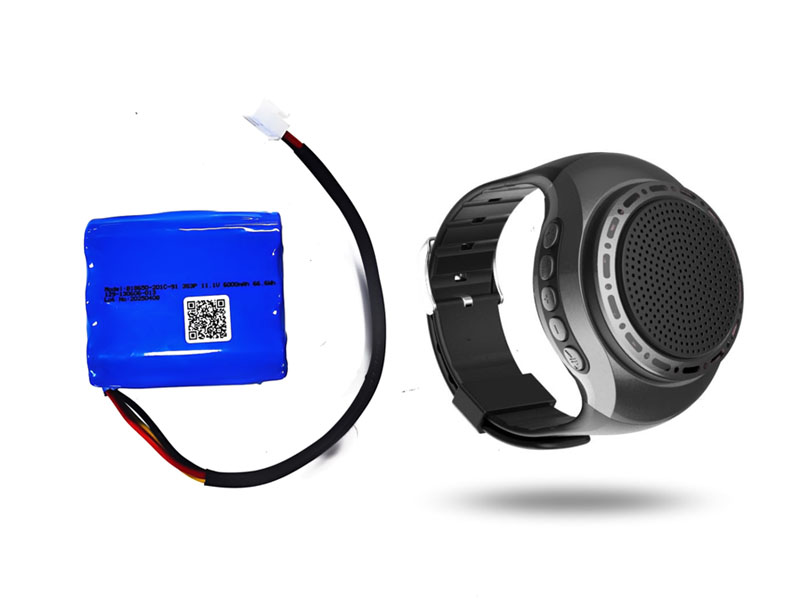 高端音箱用电池组