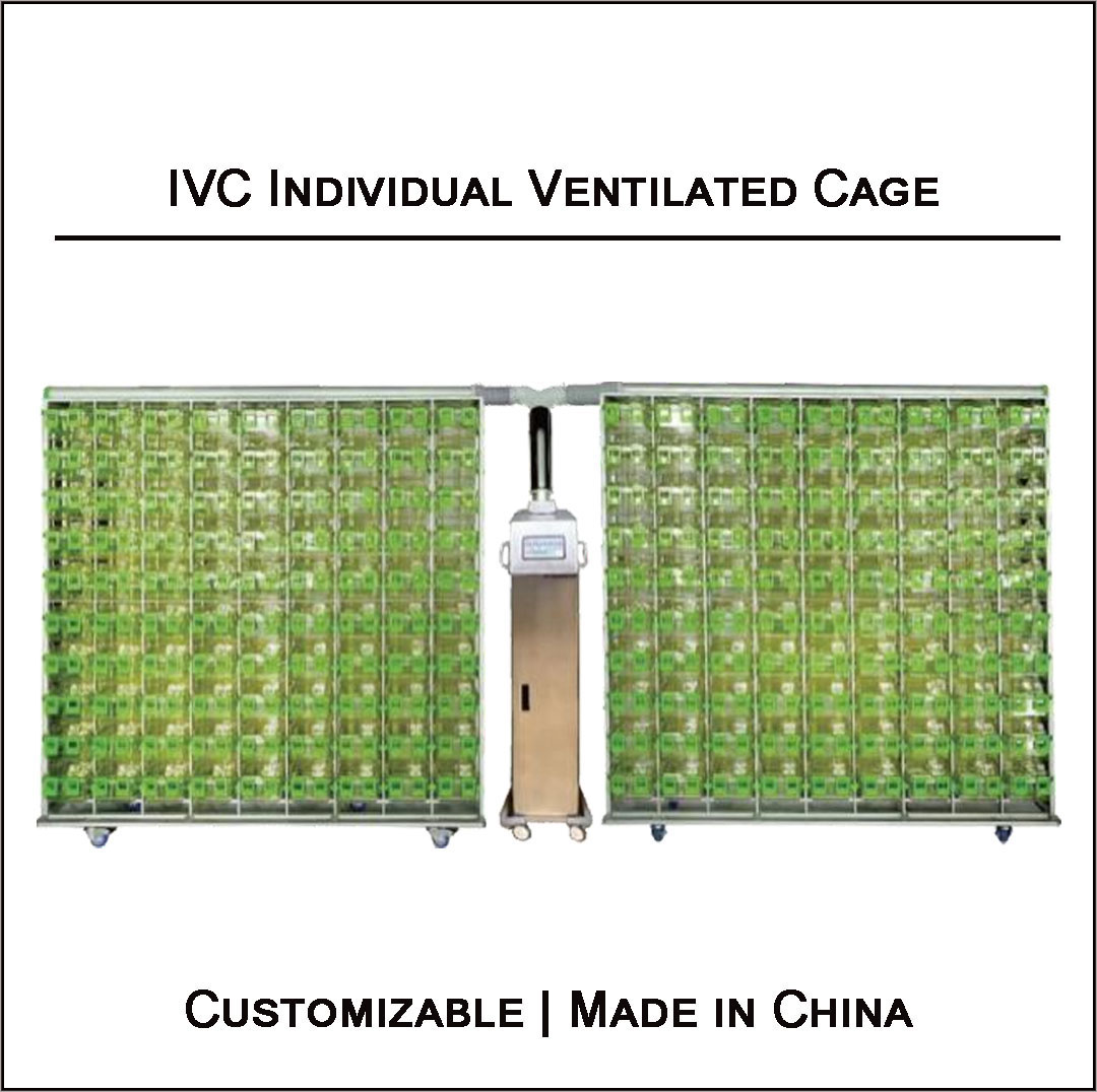 IVC独立通风笼具