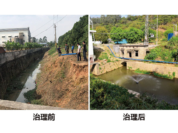 河道黑臭水體治理工程