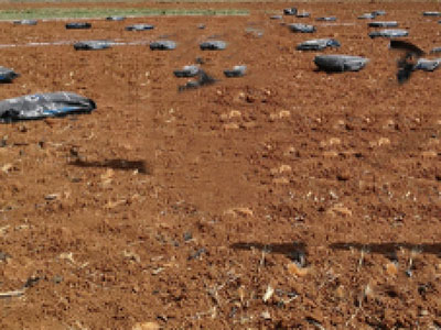 土壤修复现场照片