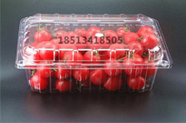 一次性飯盒創(chuàng)意再利用，飯盒變盆栽