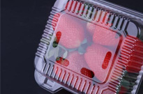 一次性饭盒源于穿越千年的食盒