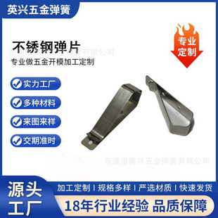 不锈钢弹片
