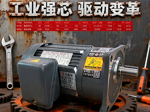 6W-3700W減速電機(jī)按需選型，高效節(jié)能