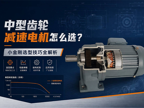中型齿轮减速电机怎么选？小金刚选型技巧全解析