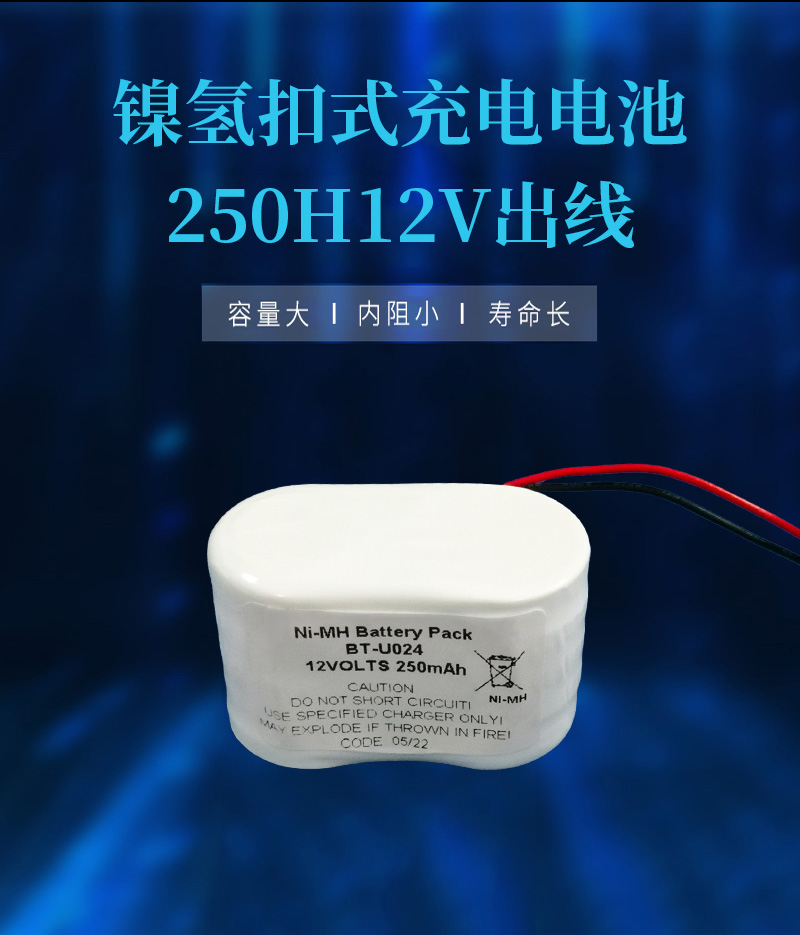 250H12V带线镍氢电池海报