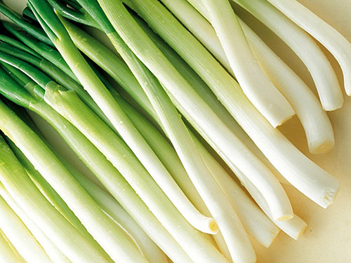 為什么找蔬菜配送公司需要選擇有聲譽的?