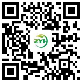 手機網站二維碼