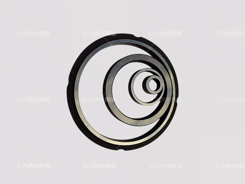碳化硅密封环