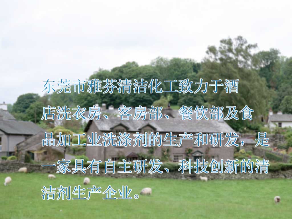 玻璃高效清洗剂