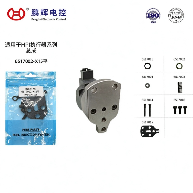 适用于HPI执行器（平）高品质维修包-10件套