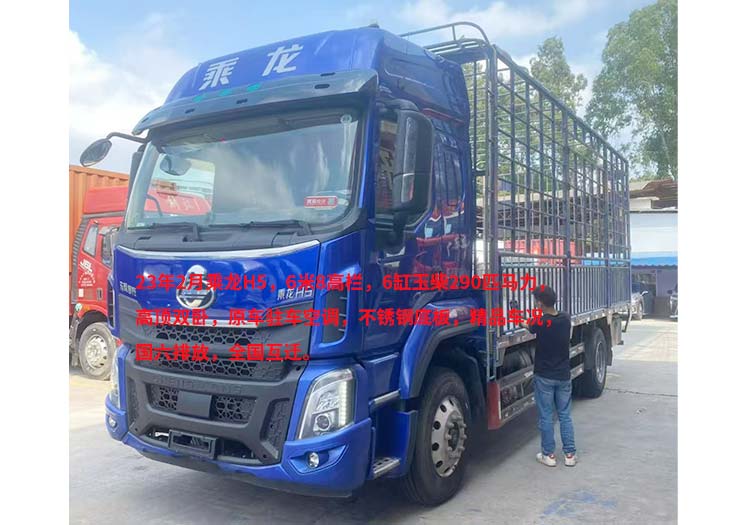 乘龙H5轻卡货车