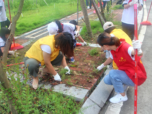 开展环境整治活动
