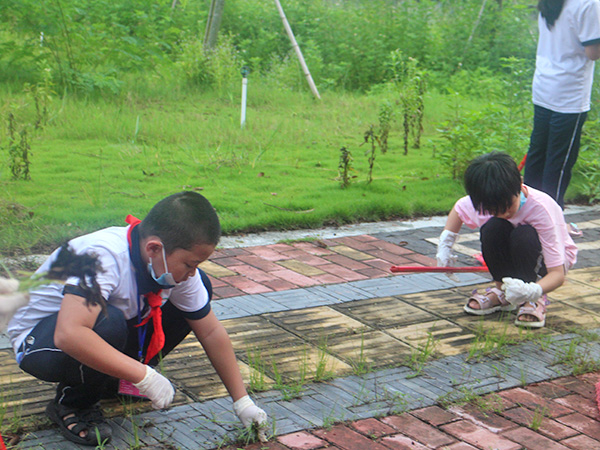 开展环境整治活动