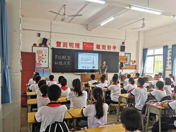 节约粮食主题班会