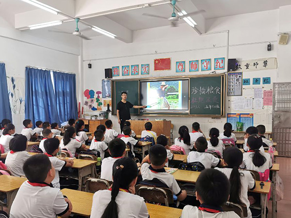 节约粮食主题班会