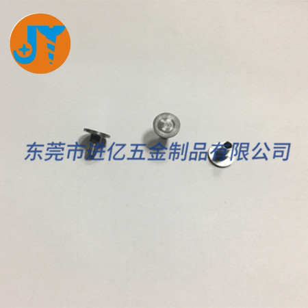 东莞非标螺丝系列厂