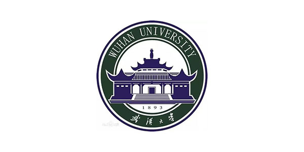 武汉 大学